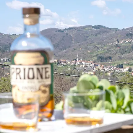 In The Greenery Near The Cinque Terre アパート *
